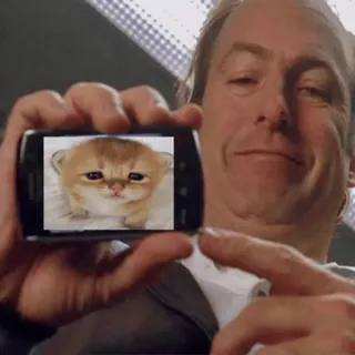 😼 ffa501b9 Saul Goodman Breaking Bad ซอล กู๊ดแมน, Breaking Bad, Better Call Saul, ทีวี, นักแสดง, แมว telegram sticker