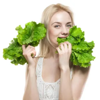 🥺 e0934d09 여자, 상추, 샐러드, 건강, 음식, 비건, 채식주의자, 다이어트 telegram sticker