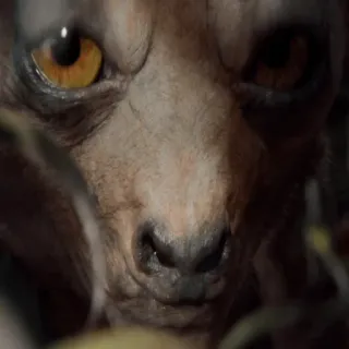 🐰 9a7a70de binatang, makhluk, monster, fantasi, mata, wajah, close-up telegram sticker