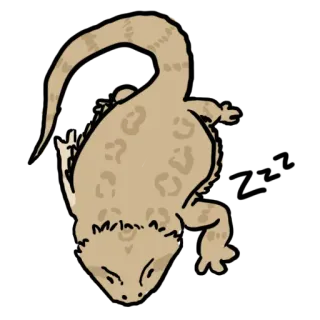 💤 4ddda20e lucertola, rettile, animale, animale domestico, geco, carino telegram sticker