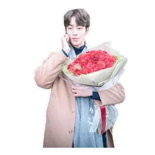 💐 a61bab15 Nam Joo-hyuk koreanischer Schauspieler, Mann, Blumen, Porträt, Schauspieler, männlich, Strauß whatsapp sticker