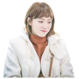 😊 e9ce7b3b Frau, Porträt, Mantel, süß, Person whatsapp sticker