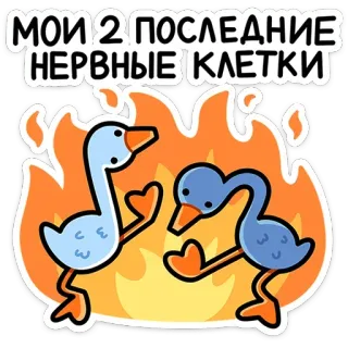 🔥 b2335498 МОИ 2 ПОСЛЕДНИЕ НЕРВНЫЕ КЛЕТКИ canards, flammes, texte russe, dessin animé, nerveux, cellules, en feu telegram sticker