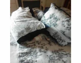 🙀 2db2c47f telegram sticker