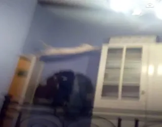 😹 d891f14f telegram sticker