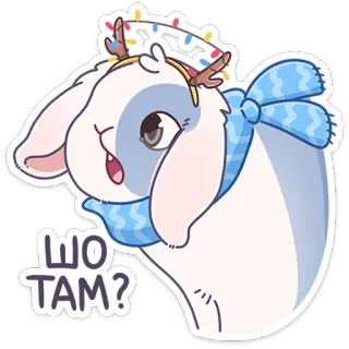 😨 8d43b3e4 ШО ТАМ? kelinci, musim dingin, syal, pita, imut, stiker whatsapp sticker