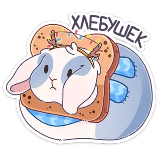 🍞 abf1c246 ХЛЕБУШЕК kelinci, roti, imut, hewan, makanan, hewan peliharaan whatsapp sticker