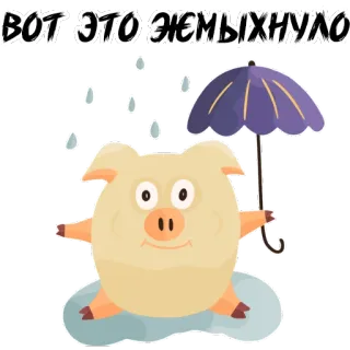 🤪 49f37e61 ВОТ ЭТО ЖЕМЫХНУЛО 猪, 雨, 伞, 贴纸, 俄语文本 whatsapp sticker