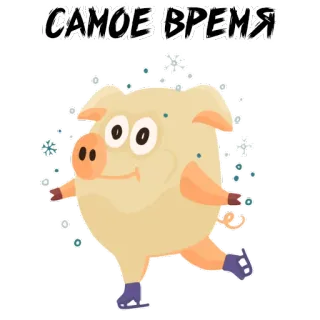 ☄ f251337a САМОЕ ВРЕМЯ 猪, 滑冰, 冬天, 雪花, 卡通 whatsapp sticker