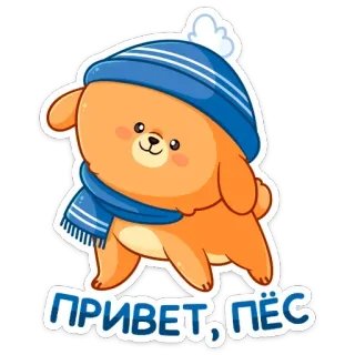 👋 e397abc6 ПРИВЕТ, ПЁС หมา, น่ารัก, ฤดูหนาว, หมวก, ผ้าพันคอ, ทักทาย telegram sticker