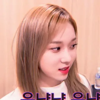 🌸 3395135e 으냐냐 으냐 韩语, 女孩, 名人, 歌手 telegram sticker