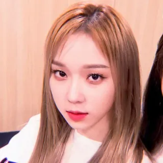 🌸 57824295 telegram sticker