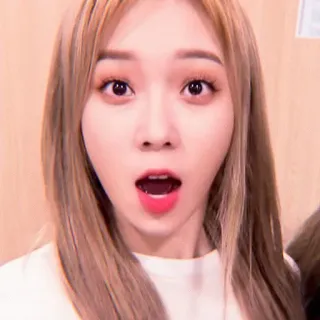 🌸 8ab1c0d9 telegram sticker