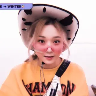 🧋 f25dc549 WINTER cowboy hat, sunglasses, idol, kpop, winter, aespa whatsapp sticker