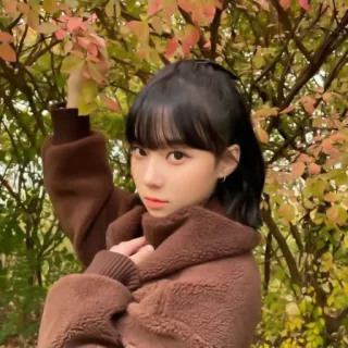 🧵 a7b867b7 женщина, портрет, осень, девушка, осень, кореянка, брюнетка whatsapp sticker