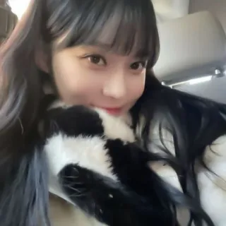 🧵 ff74a268 whatsapp sticker