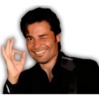 CHAYANNE - @WiStickers telegram stickers