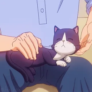 🤗 1f189404 mèo, thú cưng, mèo con, dễ thương, động vật, nhà, mèo telegram sticker