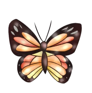 🦋 44a0fc50 papillon, insecte, nature, animal, ailes, coloré, orange telegram sticker