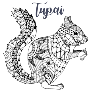 🐿 b6f66dde telegram sticker