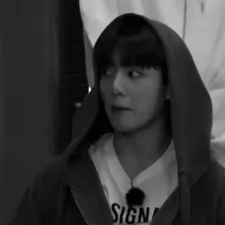 🎸 89ead262 SIGN uomo, felpa con cappuccio, bianco e nero, ritratto, persona, casual telegram sticker