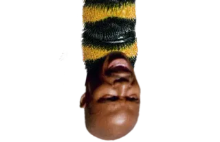 🐝 b67c8488 telegram sticker