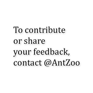 😄 9769c11a To contribute or share your feedback, contact @AntZoo Feedback, Partager, Contact, Fourmizoo whatsapp sticker