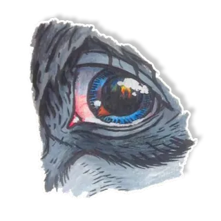 👁 3b08e761 mata, ilustrasi, gambar, karya seni, close-up, cat air, mata hewan, hewan whatsapp sticker