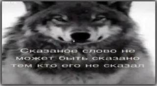 😗 0728cc7b Сказаное слово не может быть сказано тем кто его не сказал lobo, frase, expressão telegram sticker