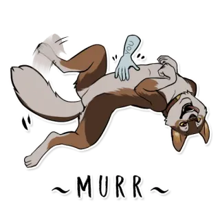 😍 4a81f0b0 MURR chien, animal, mignon, poilu, joueur, animé telegram sticker
