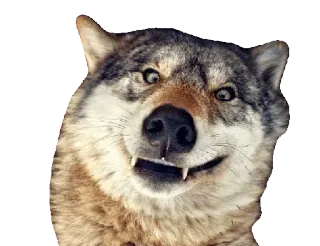 WolveStickerz whatsapp stickers