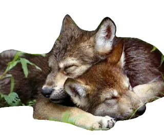 WolveStickerz telegram stickers