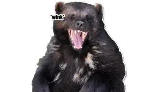 Wolverines telegram stickers
