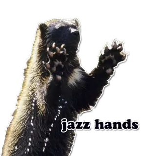 👋 b3524f69 jazz hands 金刚狼, 动物, 爵士手, 手势, 搞笑 telegram sticker