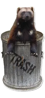 🗑 b9ca1a6c TRASH 金刚狼, 垃圾桶, 垃圾, 动物, 表情包, 垃圾箱 telegram sticker