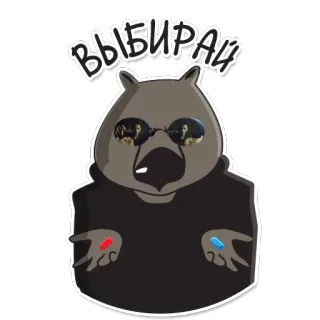Вомбат в кино telegram stickers