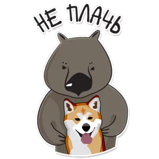 😲 f8315360 НЕ ПЛАЧЬ วอมแบท, ชิบะ อินุ, สัตว์, เพื่อน, ปลอบโยน, น่ารัก, ข้อความรัสเซีย whatsapp sticker