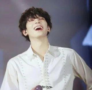 Mr.wonwoo whatsapp stickers