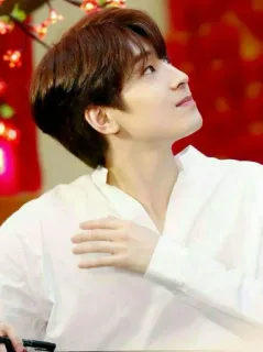 🖤 a8082194 telegram sticker