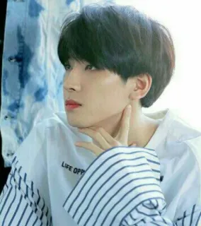 🖤 c866e835 LIFE OPP telegram sticker