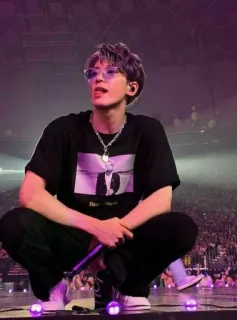 Mr.wonwoo telegram stickers