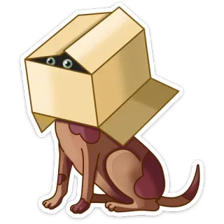 👀 14c656c1 dog, box, animal, cute, pet, funny whatsapp sticker