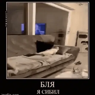 👎 5050dee8 БЛЯ
Я СИБИЛ gato, sofá, sono, animal, animal de estimação, russo, texto, meme whatsapp sticker