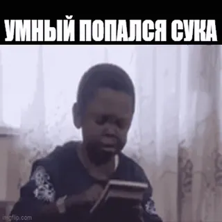 🧐 be02b62d УМНЫЙ ПОПАЛСЯ СУКА Meme, Menino, Calculadora, Engraçado, Ofensivo whatsapp sticker