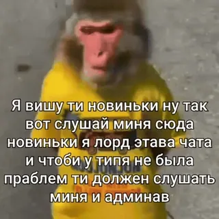 🆕 05c97e9b Я вишу ти новиньки ну так
вот слушай миня сюда
новиньки я лорд этава чата
и чтоби у типя не была
праблем ти должен слушать
миня и админав małpa, mem, tekst, zwierzę telegram sticker