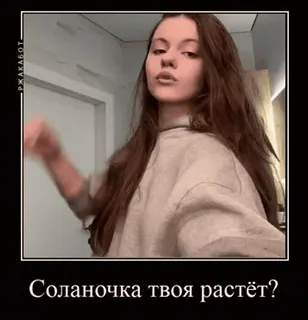 🍑 13065023 Соланочка твоя растёт? telegram sticker