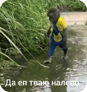 😡 1fa07862 Да еп тваю налево małpa, przeklinać, wulgaryzmy, rosyjski, obraźliwy, mem telegram sticker