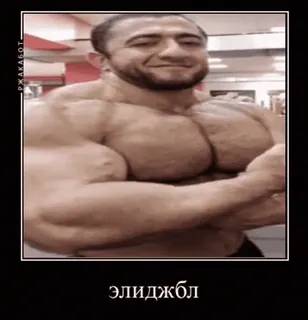 💪 73fdb54e элиджбл Kulturystyka, Mięśnie, Fitness, Silny, Mężczyzna telegram sticker