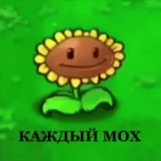 🌻 95bb2223 КАЖДЫЙ МОХ słonecznik, roślina, kreskówka telegram sticker