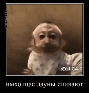 🙂 c293b0e2 имхо щас дауны сливают małpa, człekokształtny, zwierzę, śmieszne, mem, rosyjski, wycieki, kretyni, IMHO, teraz telegram sticker